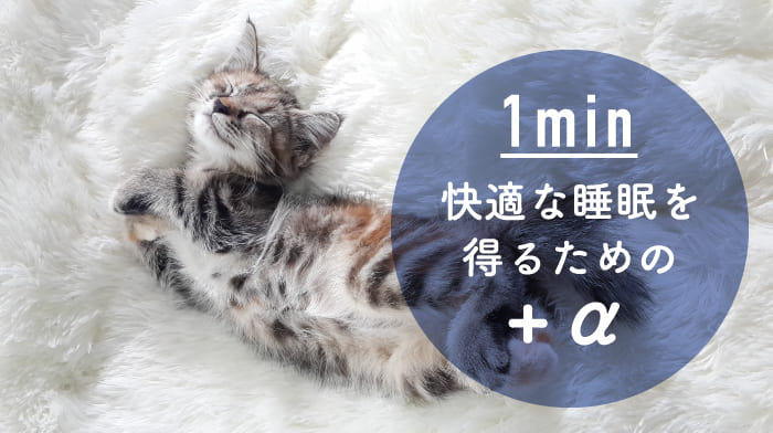 寝てる猫の写真