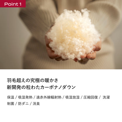 ブレインスリープ コンフォーター パーフェクト ウォーム デュアル