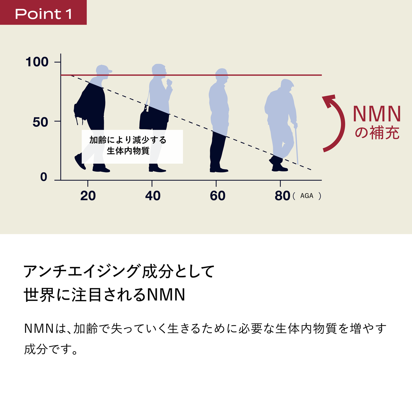 ブレインスリープ NMN 9000